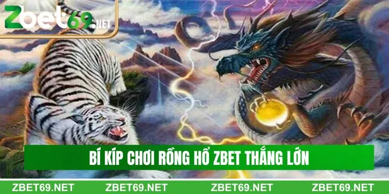 Bí kíp chơi rồng hổ Zbet thắng lớn cho người mới Bí kíp chơi rồng hổ Zbet thắng lớn cho người mới